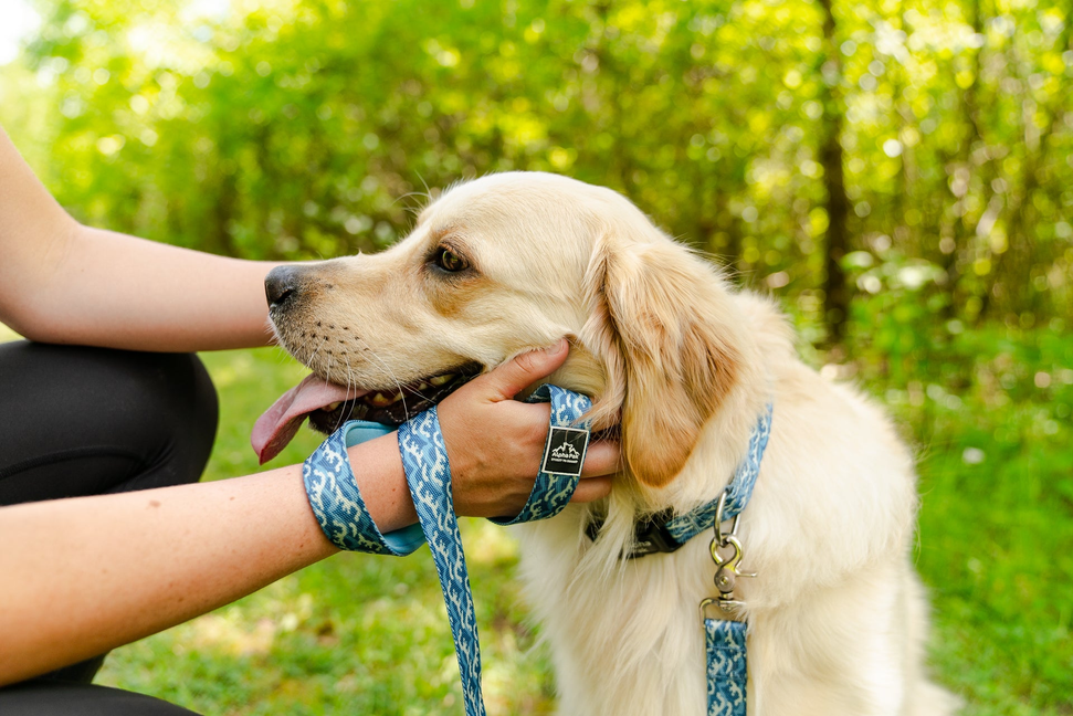 Tidal Pattern Dog Collar